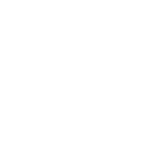 Reef